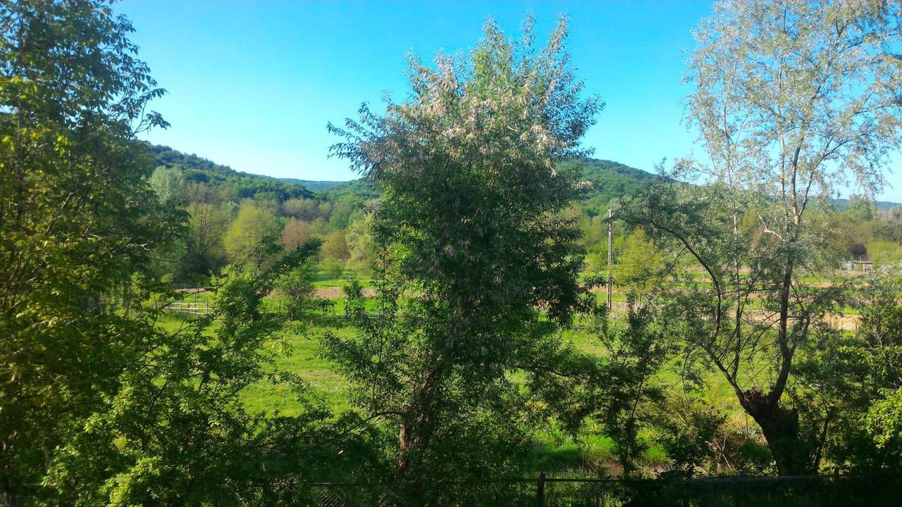 Pensiunea Casa Ghica Valea Sălciilor Eksteriør bilde